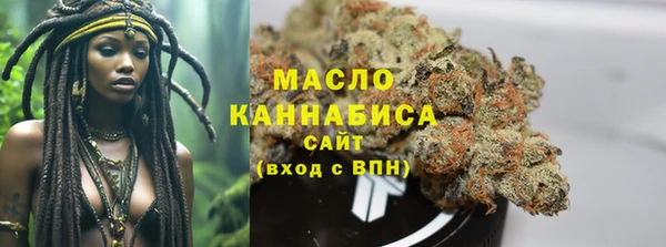 индика Богданович