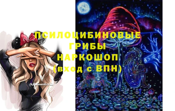 индика Богданович