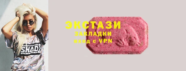 индика Богданович