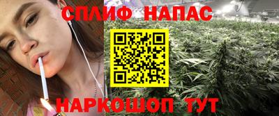 дурь Можга