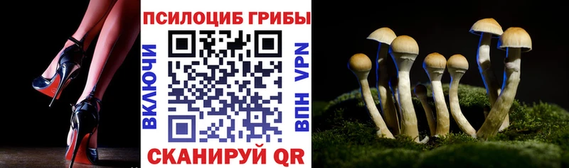 Псилоцибиновые грибы Magic Shrooms  hydra как войти  Чистополь 
