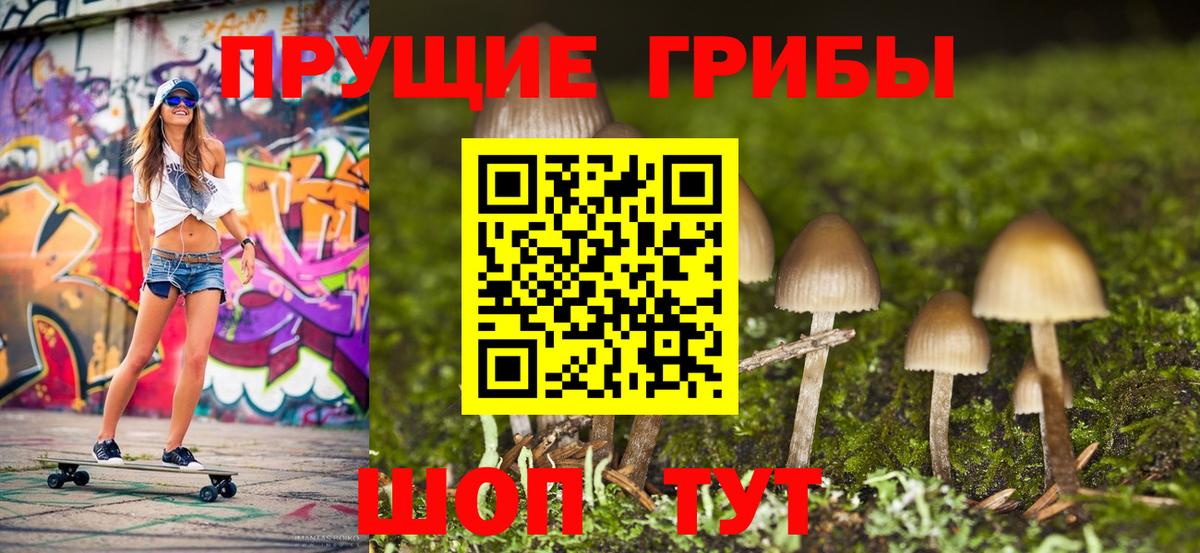 Галлюциногенные грибы MAGIC MUSHROOMS  наркота  Псилоцибиновые грибы Cubensis  Чистополь 