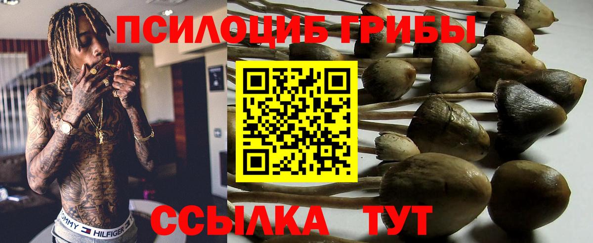 Галлюциногенные грибы мухоморы Чистополь