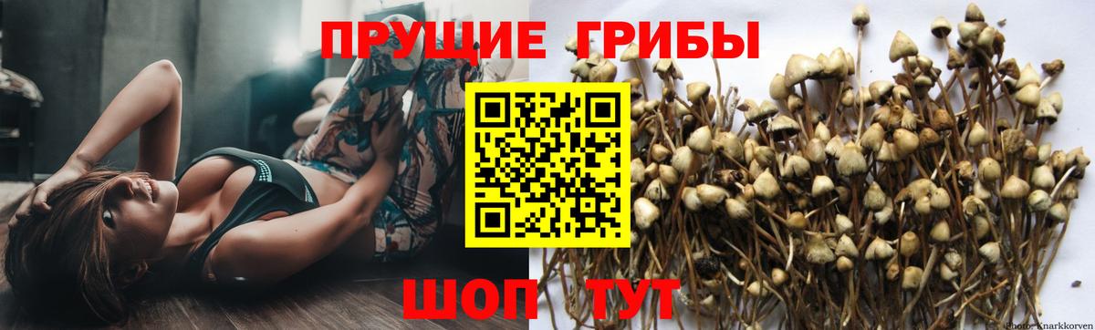 Галлюциногенные грибы мицелий  Вход с VPN  Чистополь 